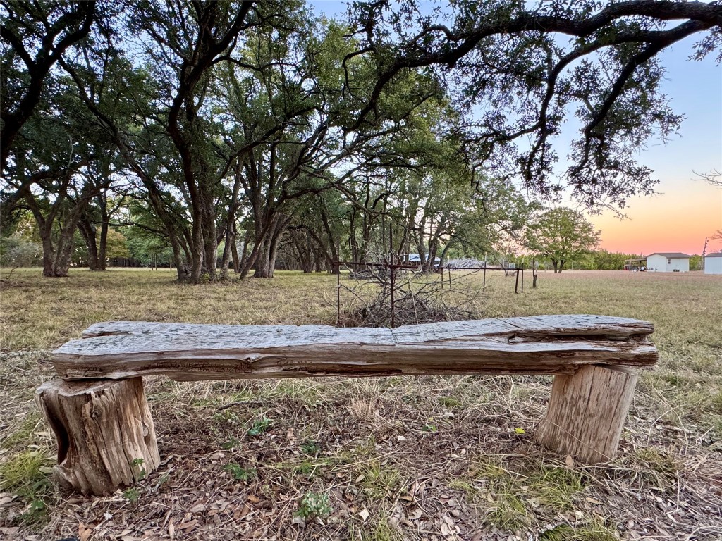 a view of a yard with a tree