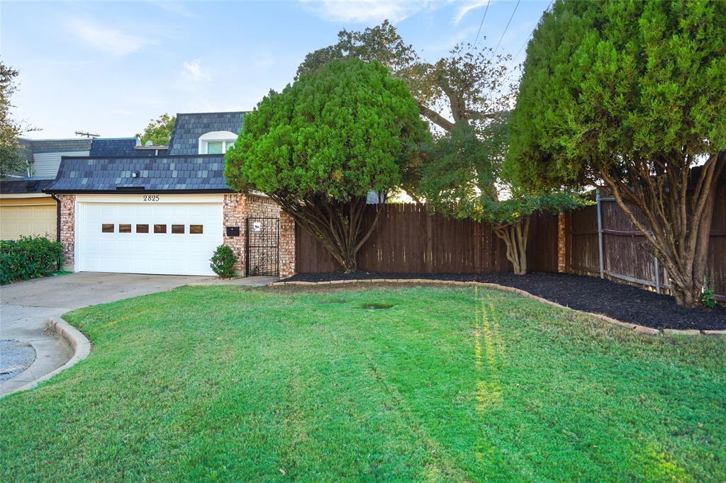 a view of a back yard