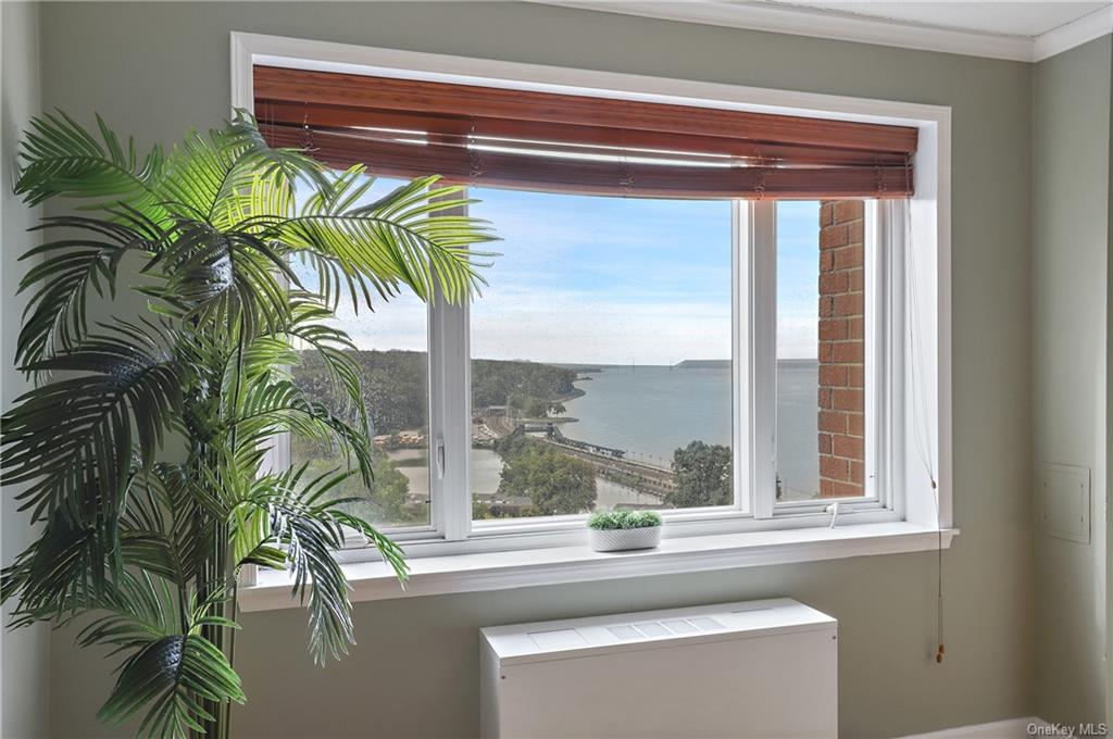 a view of a window with a potted plant on a window