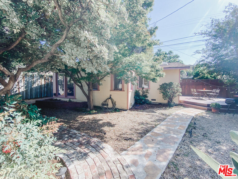 a view of a backyard with large trees and plants