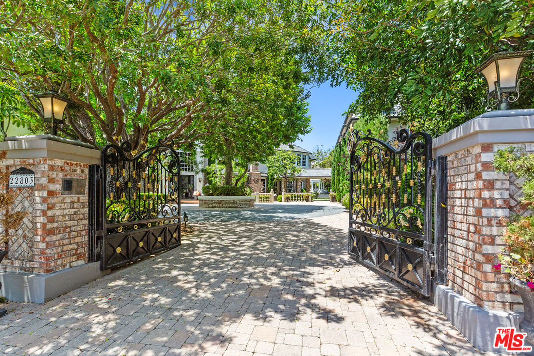 a view of a yard with plants and trees