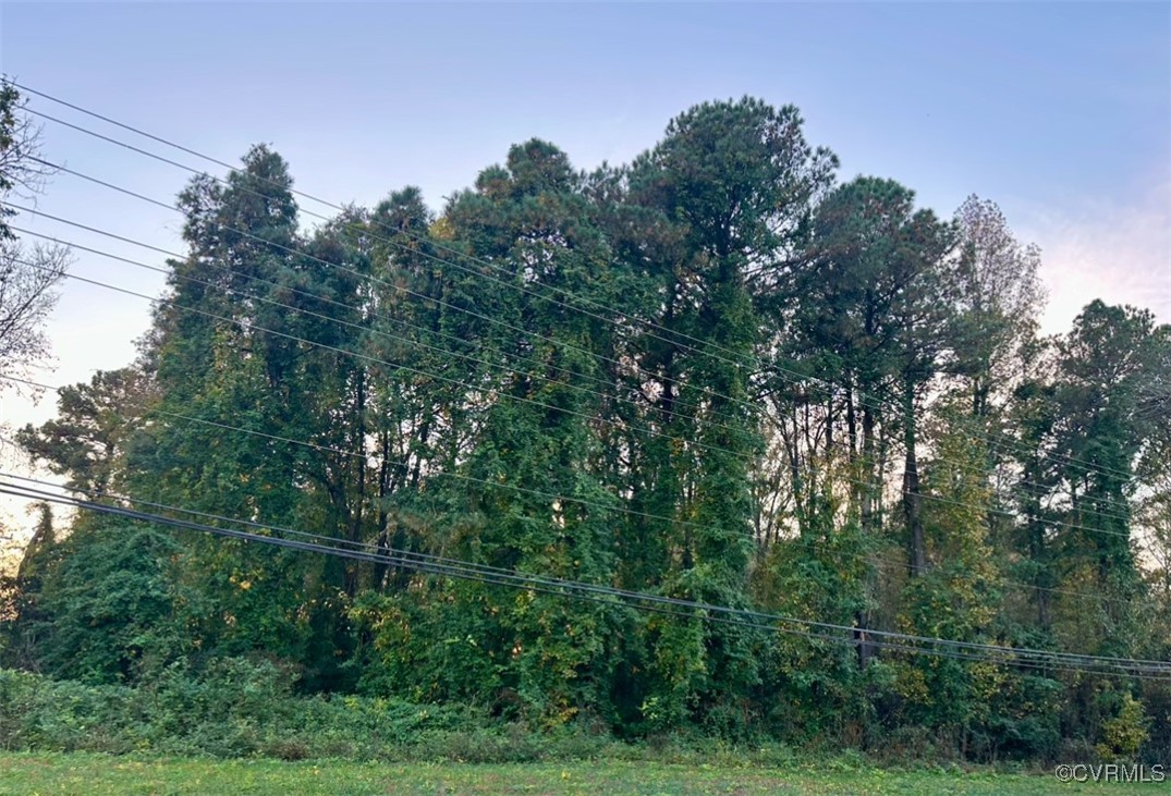 a view of a green yard with large trees