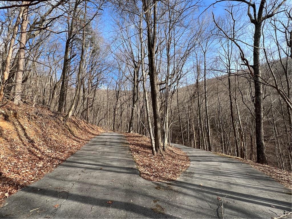 a view of pathway along with road