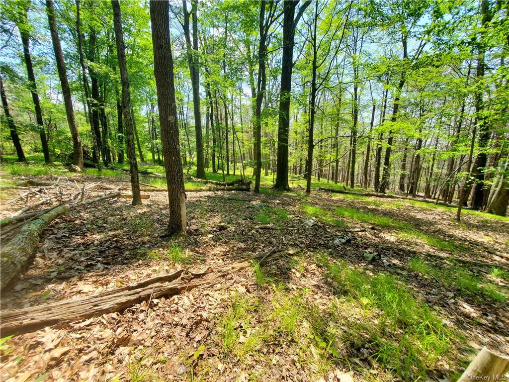 a big yard with lots of green space and trees in the background