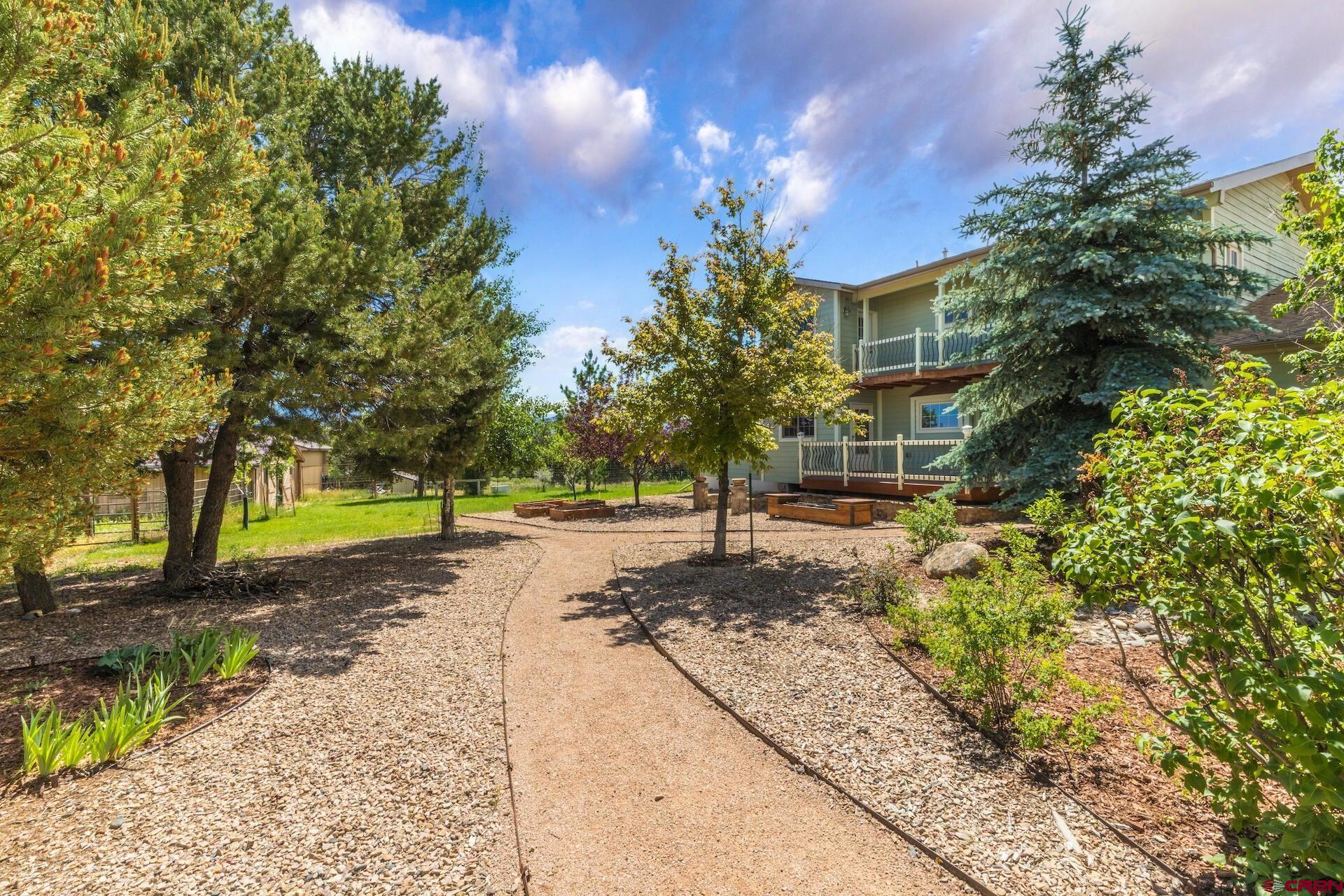 a view of a yard with plants and trees