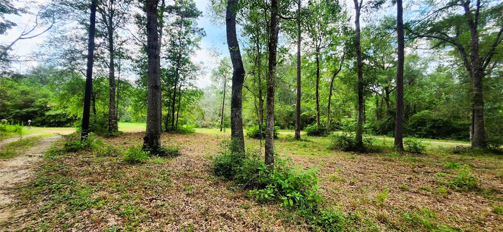 a big yard with lots of green space and trees