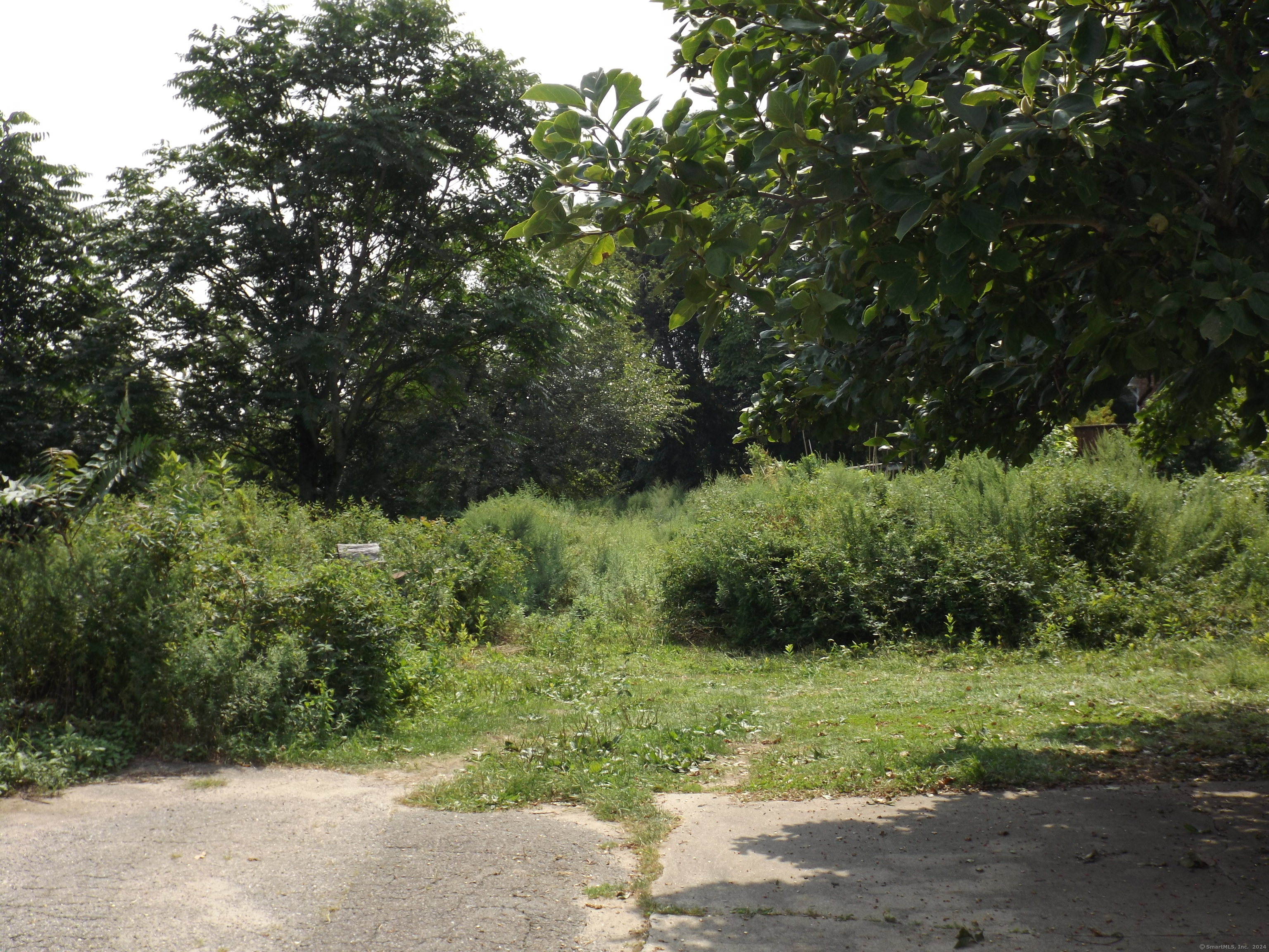 a view of outdoor space and yard