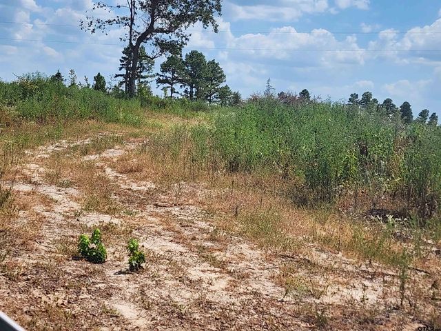 $76,500 | 1762 Tract 5 8.5 Acres Jefferson Tx 75657