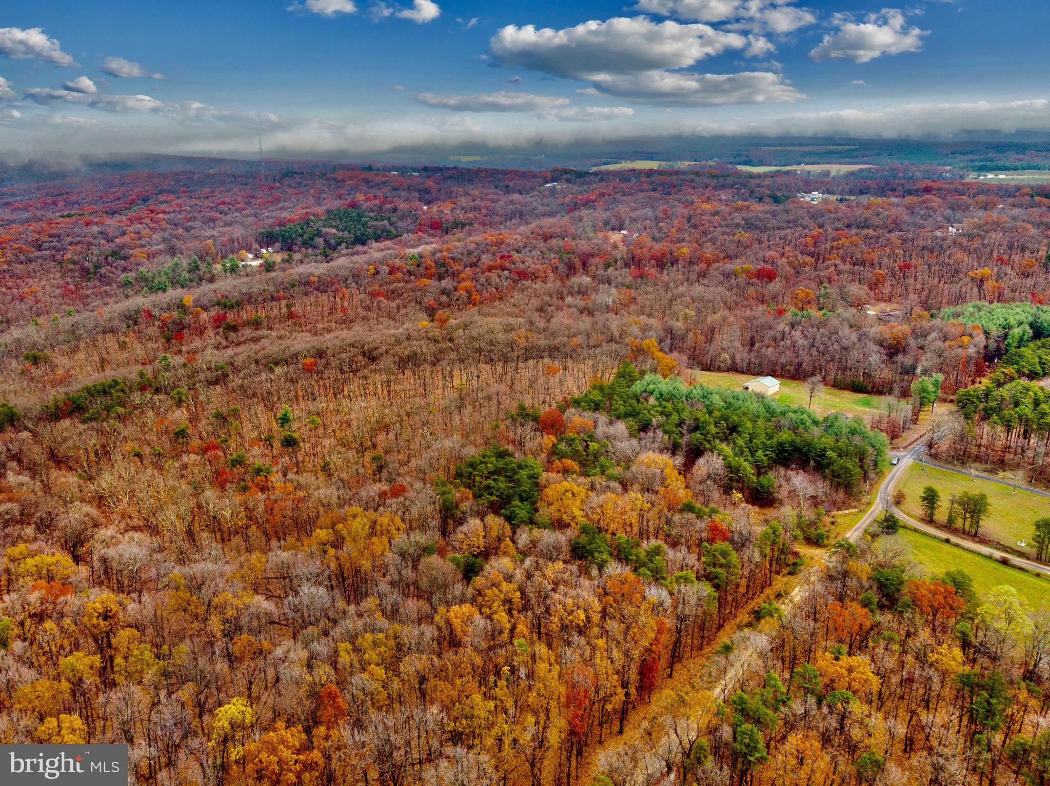 Autumn Splendor in Cross Junction