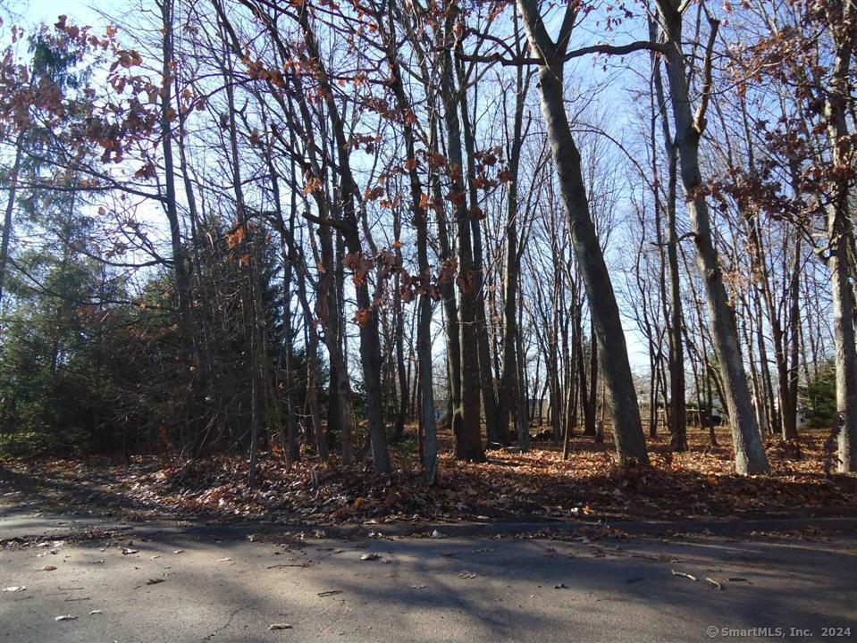 a view of a backyard with trees