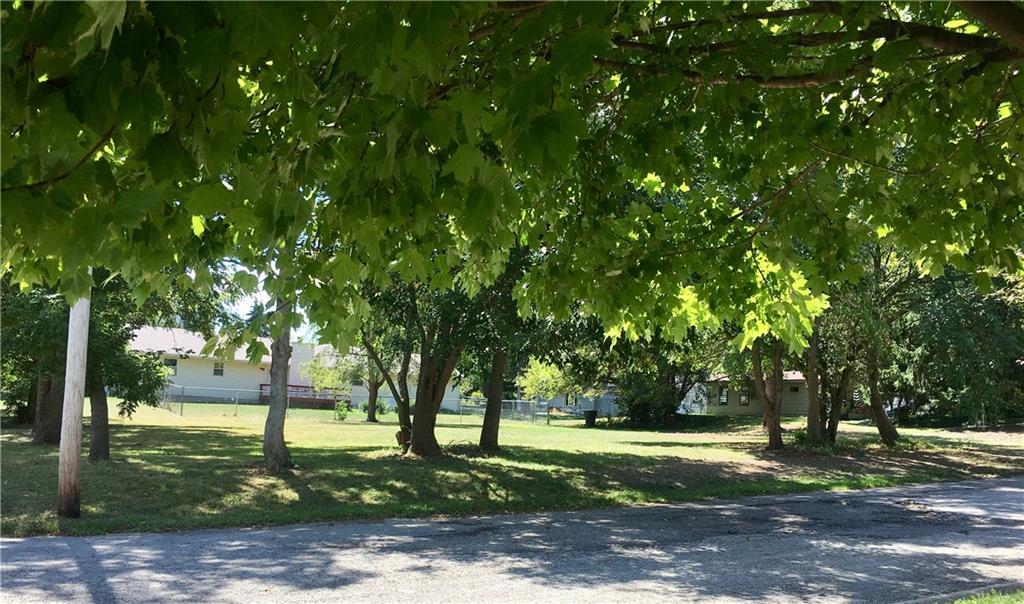 a view of a park that has large trees