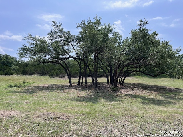 a view of backyard with green space