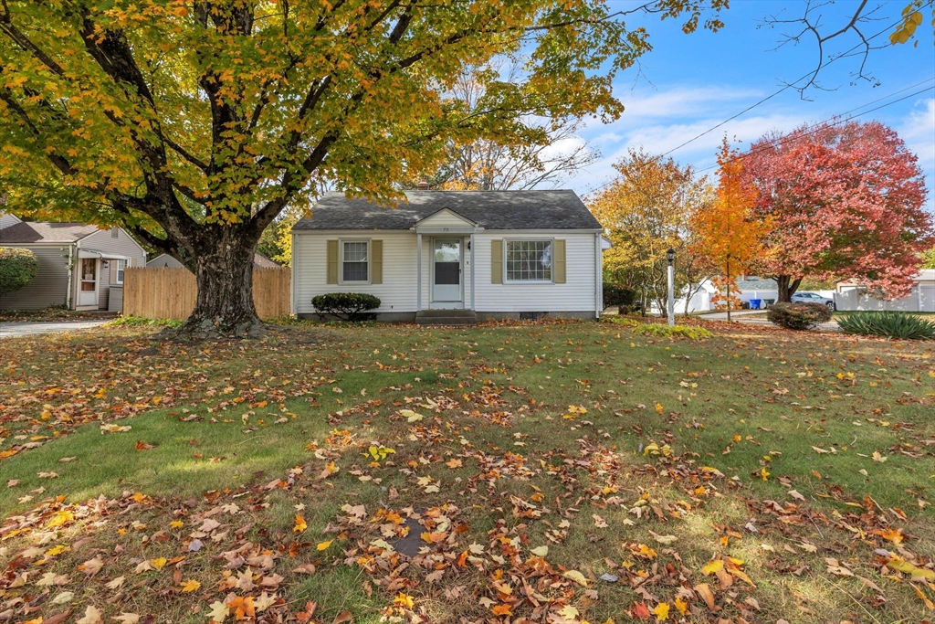 a house that has a tree in front of it