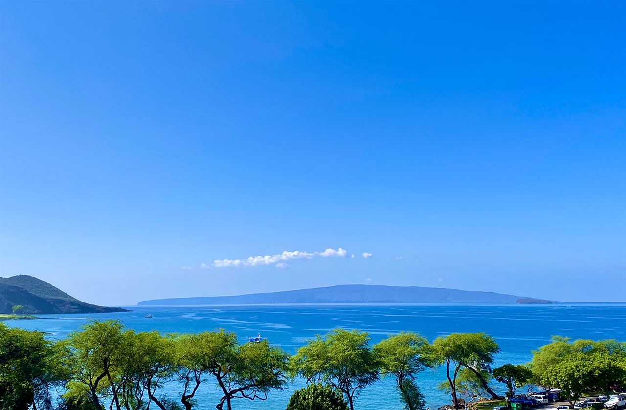 a view of an ocean in a field