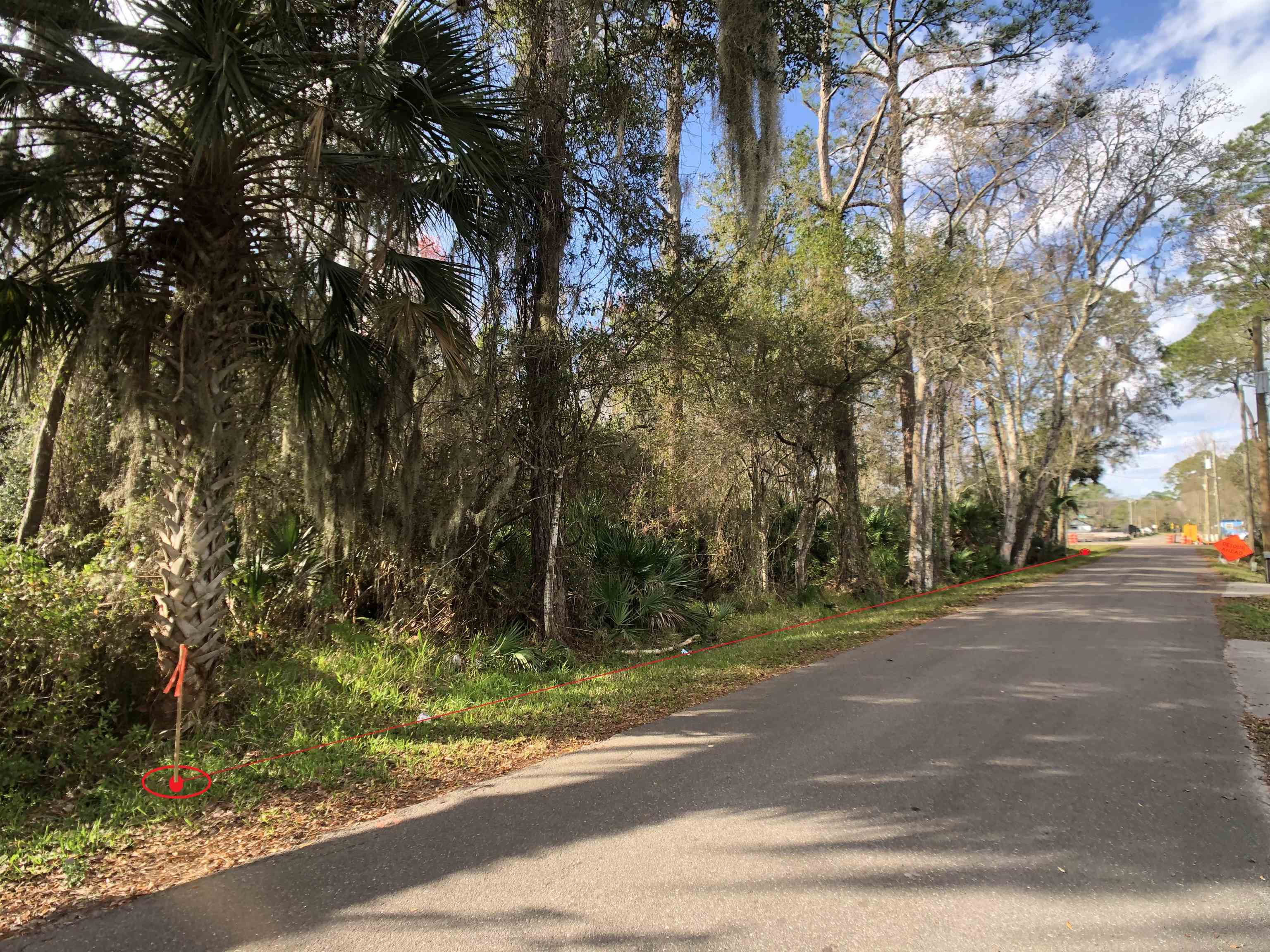 a view of a street with a trees