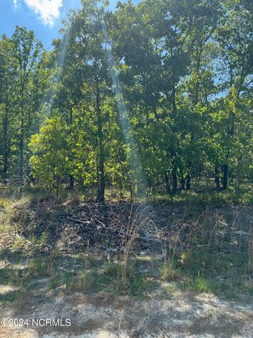 $10,000 | Tbd Meadow Lane | Marks Creek Township - Richmond County