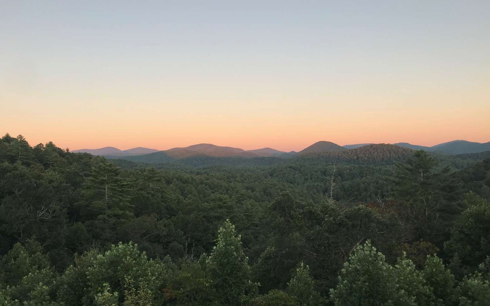 a view of a mountain range with a lush green forest