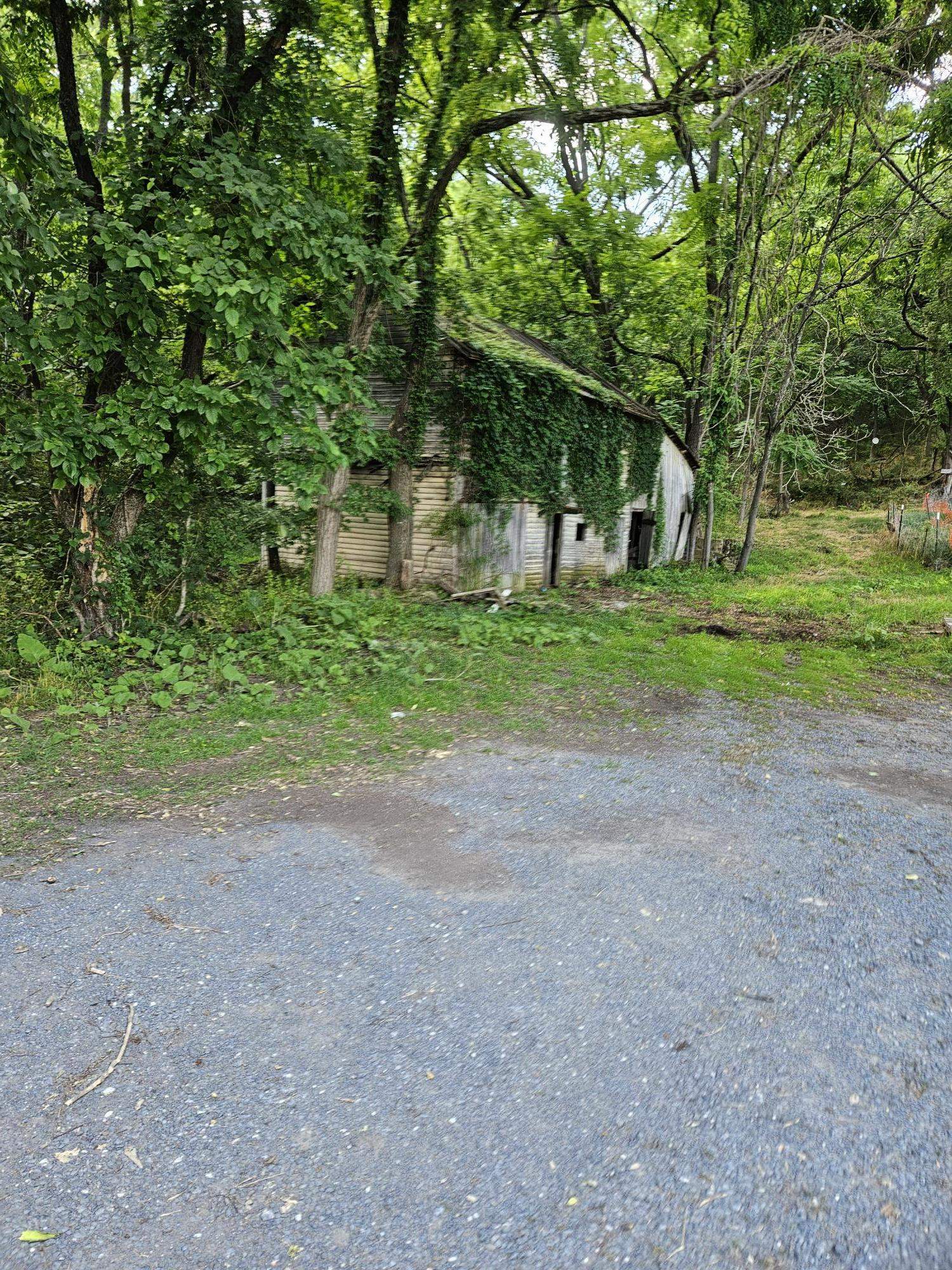 a view of a backyard with large trees