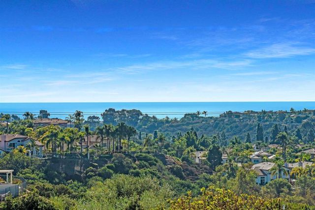 $4,500,000 | 6591 Black Rail Road | Poinsettia