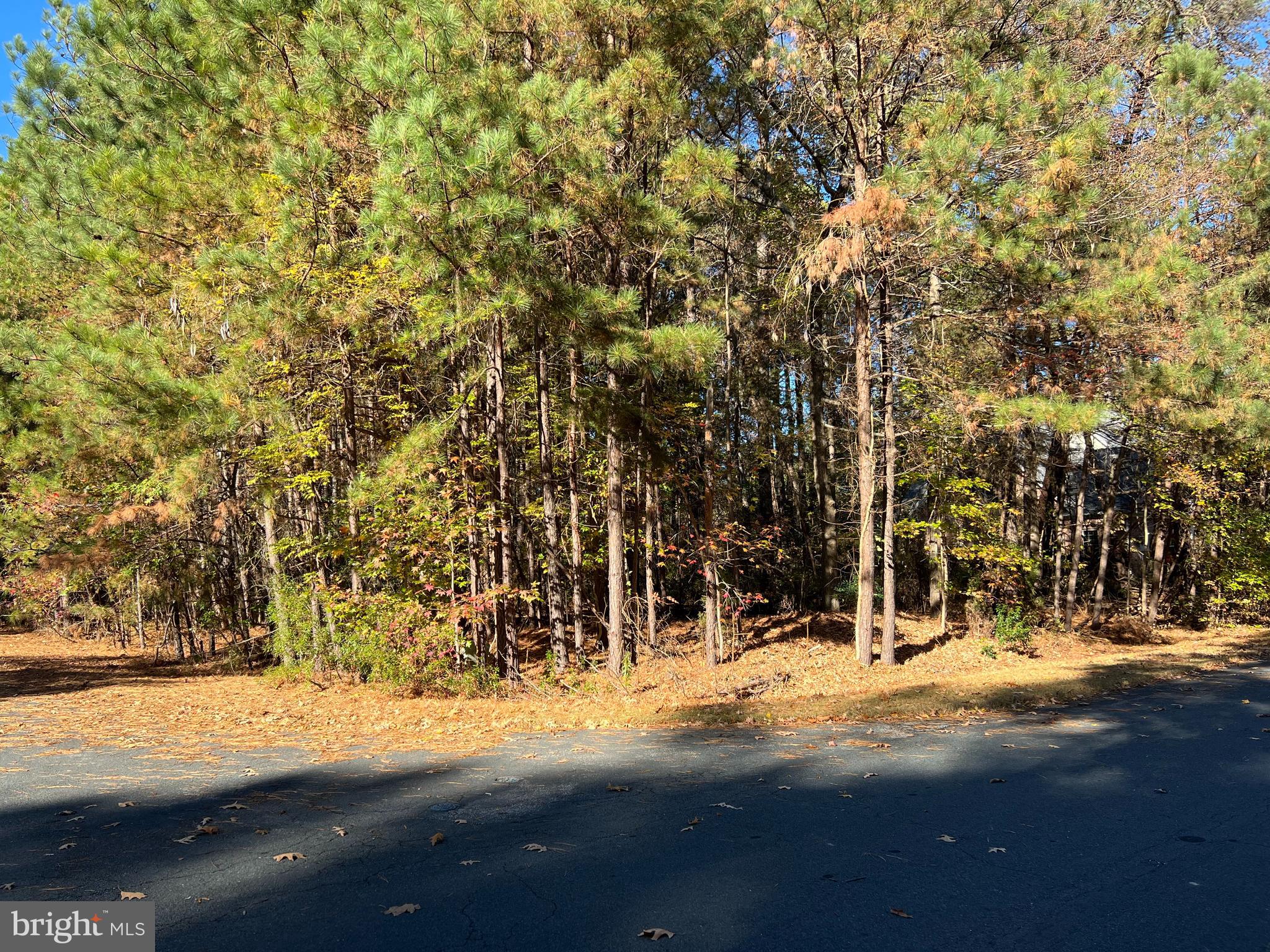 a view of street with trees