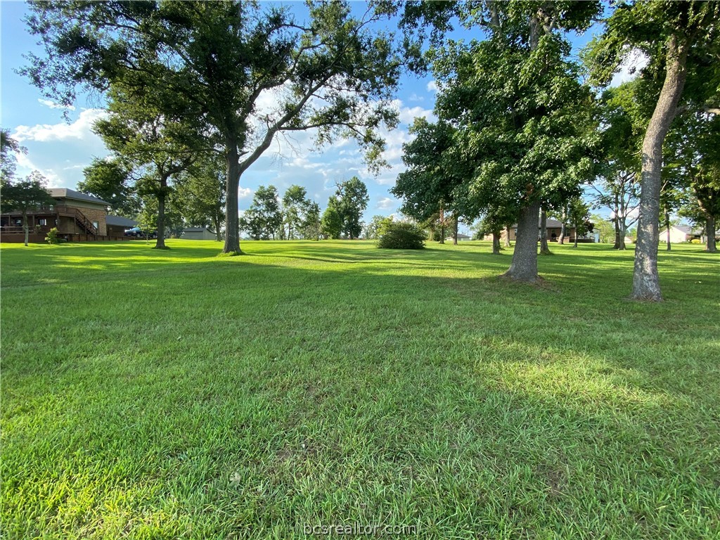 a huge green field with lots of trees