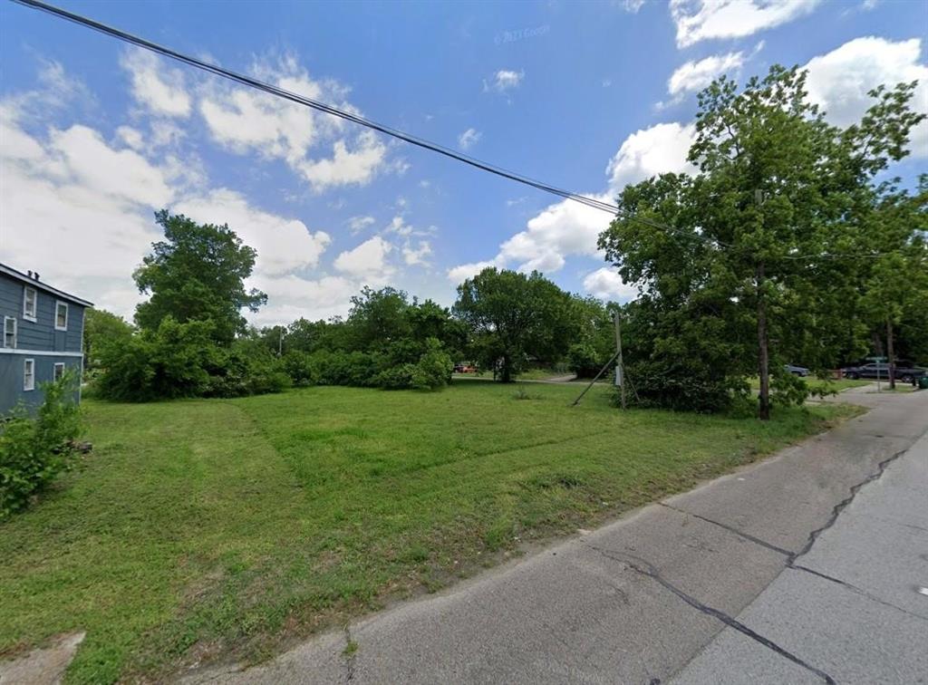 a view of a grassy field with trees