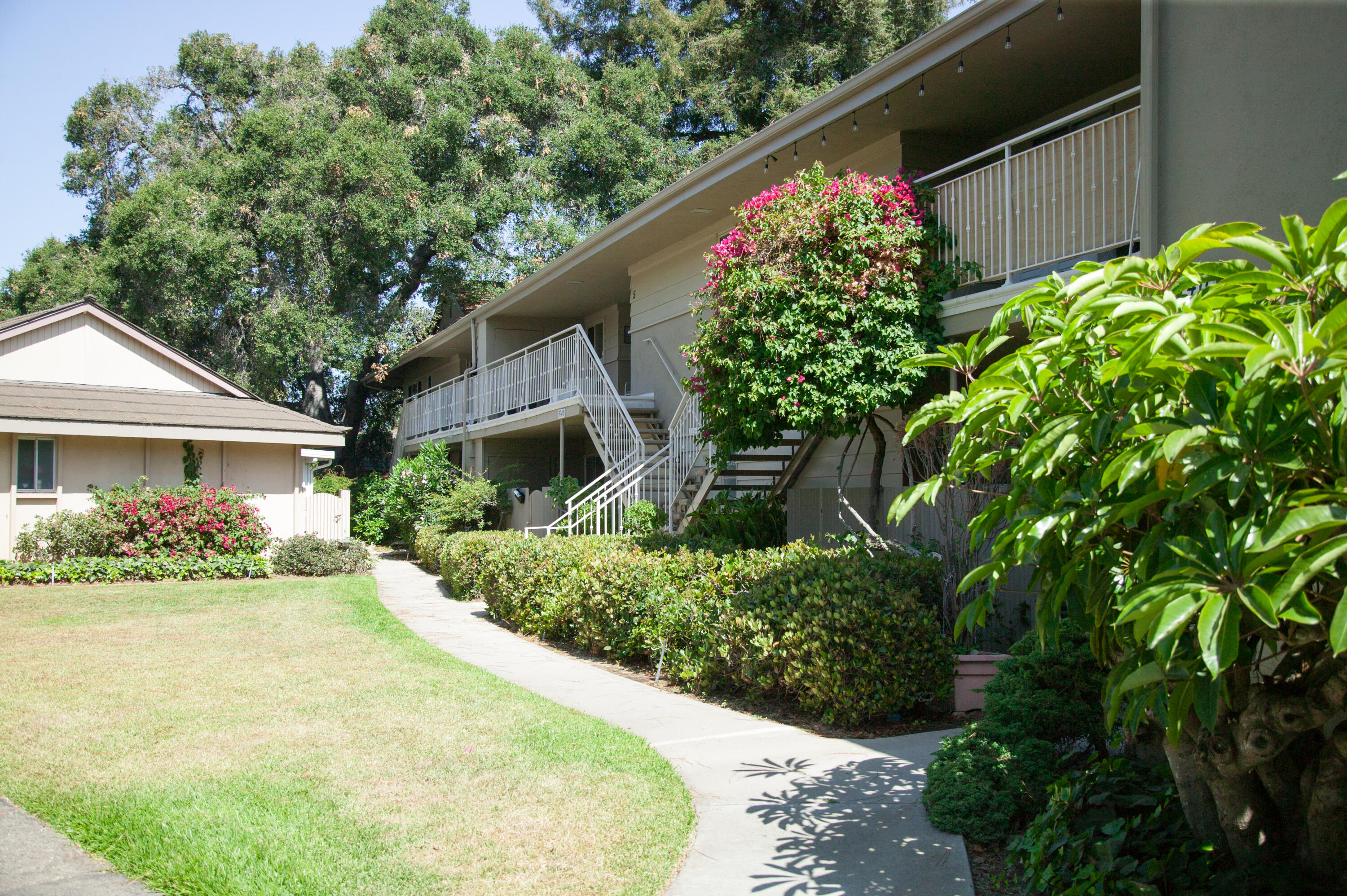 a front view of a house with a yard and flowers