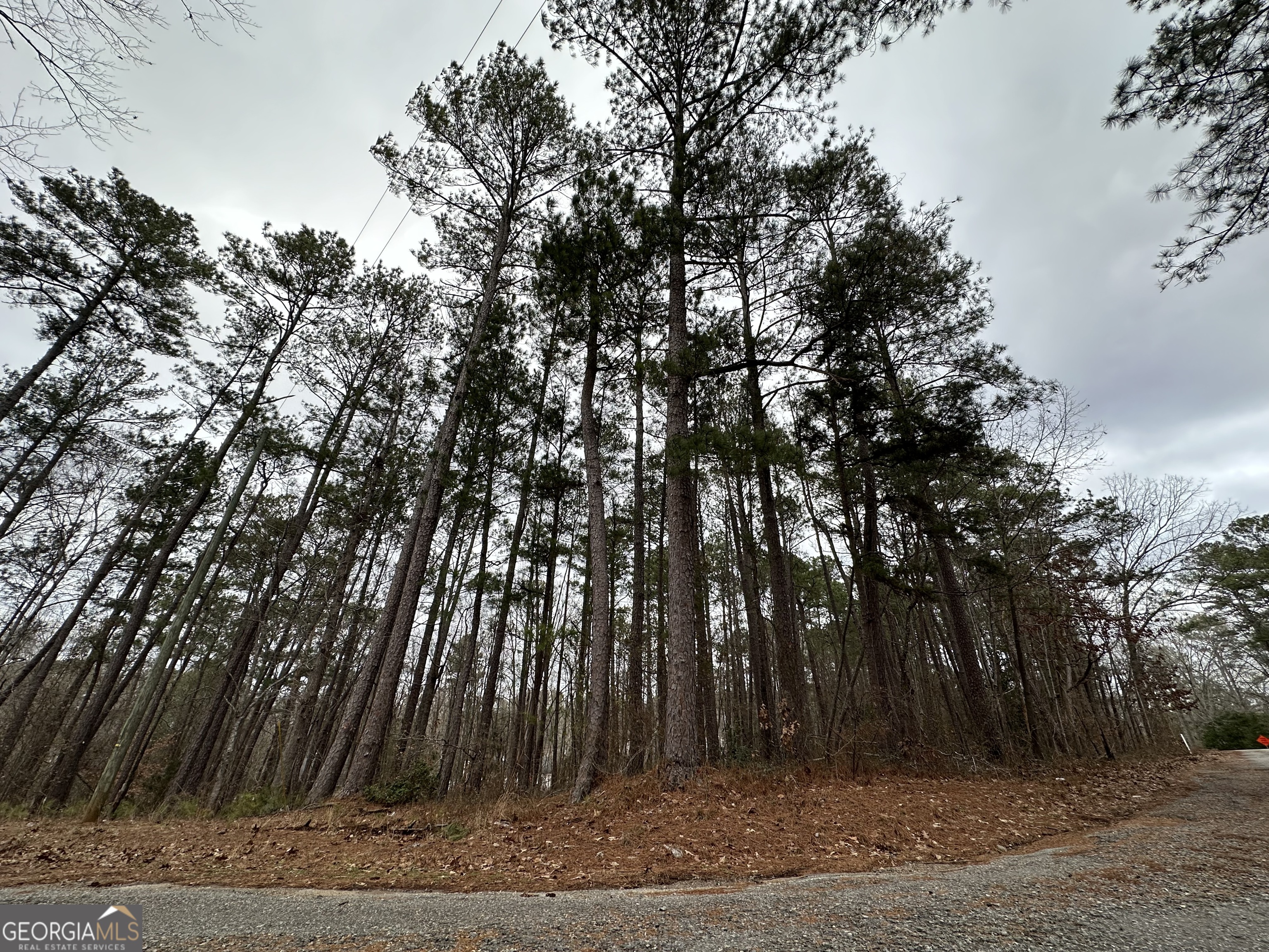 a view of outdoor space with trees