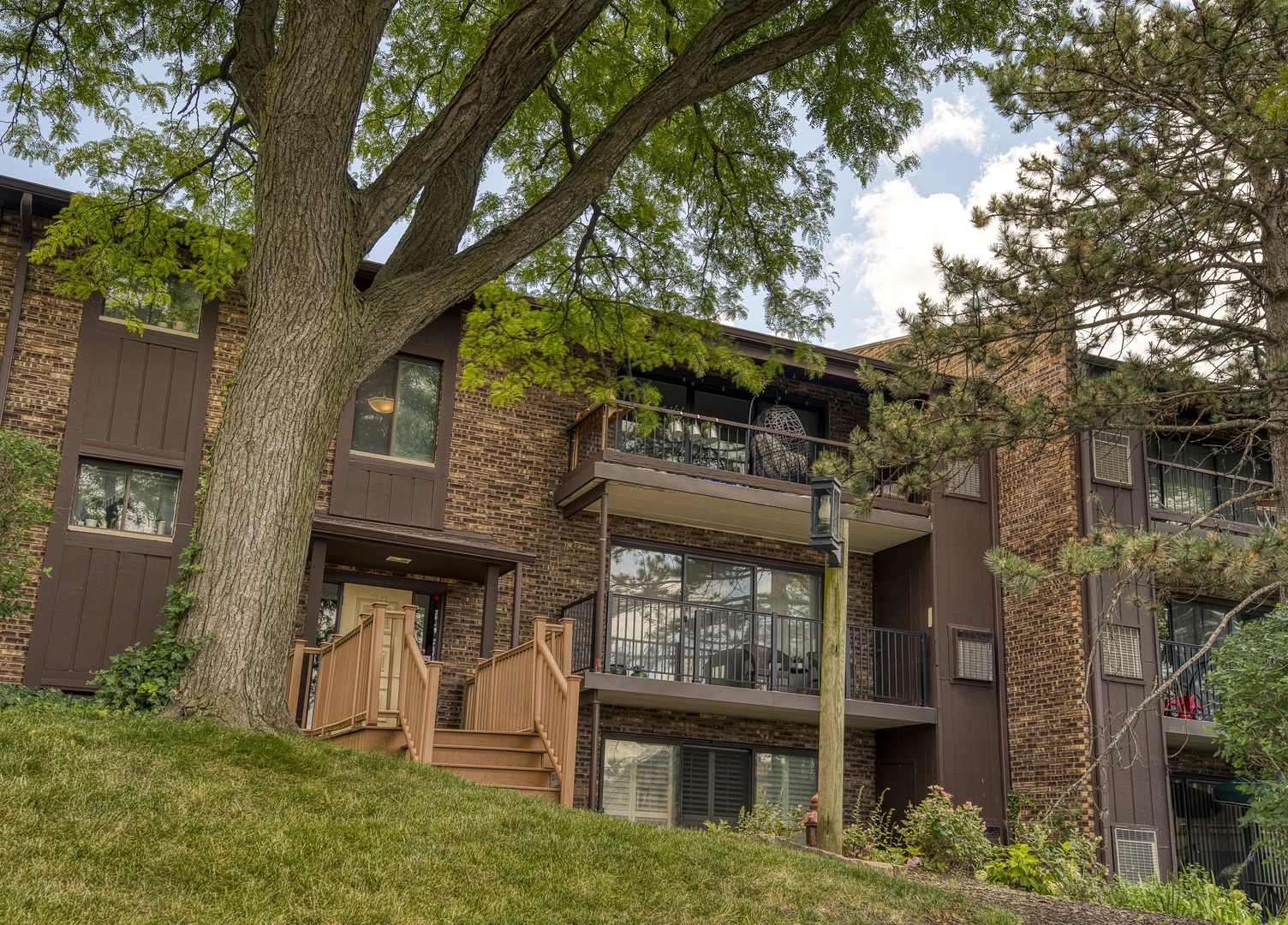 a front view of a house with a tree