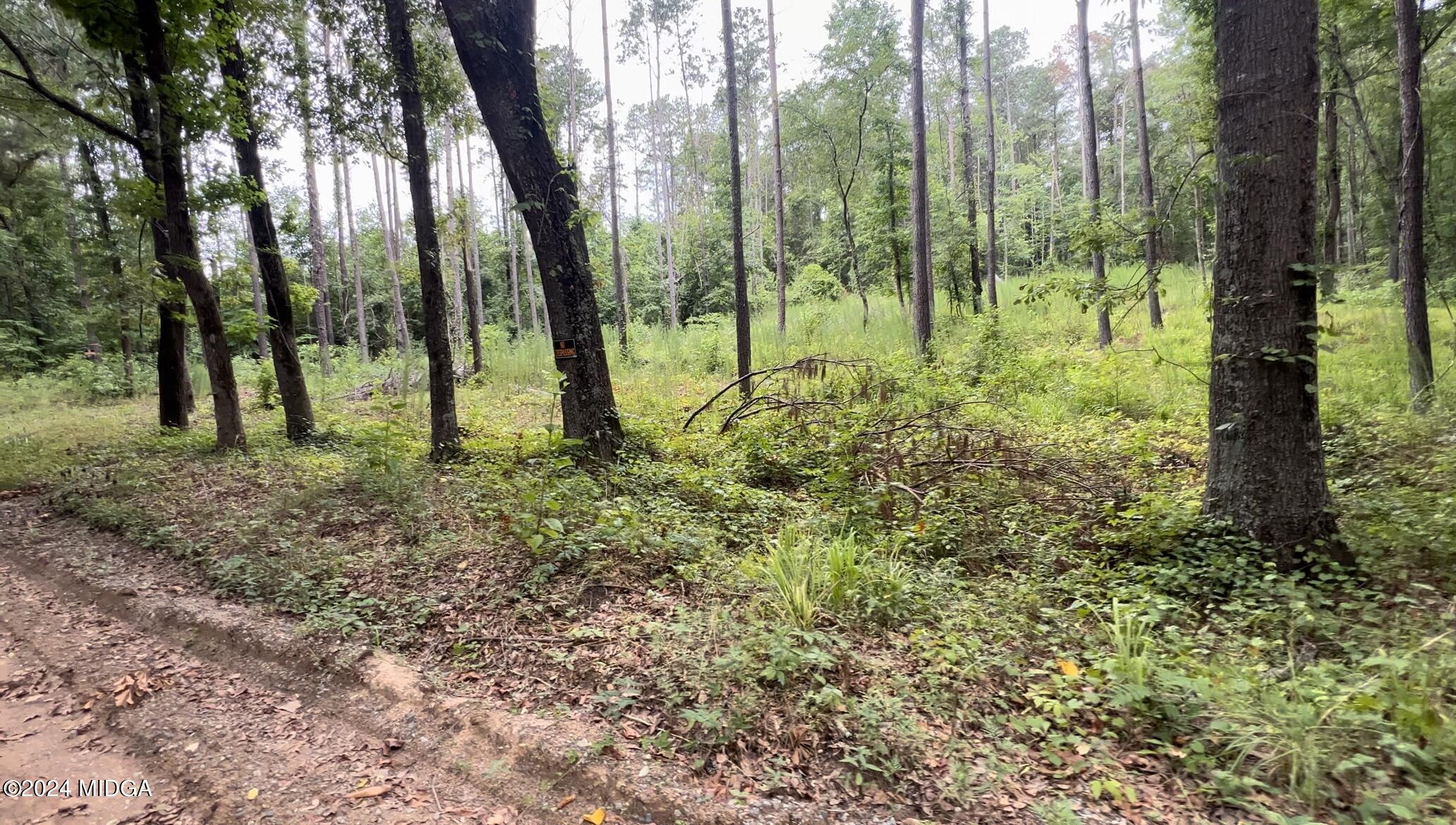 a view of backyard with green space