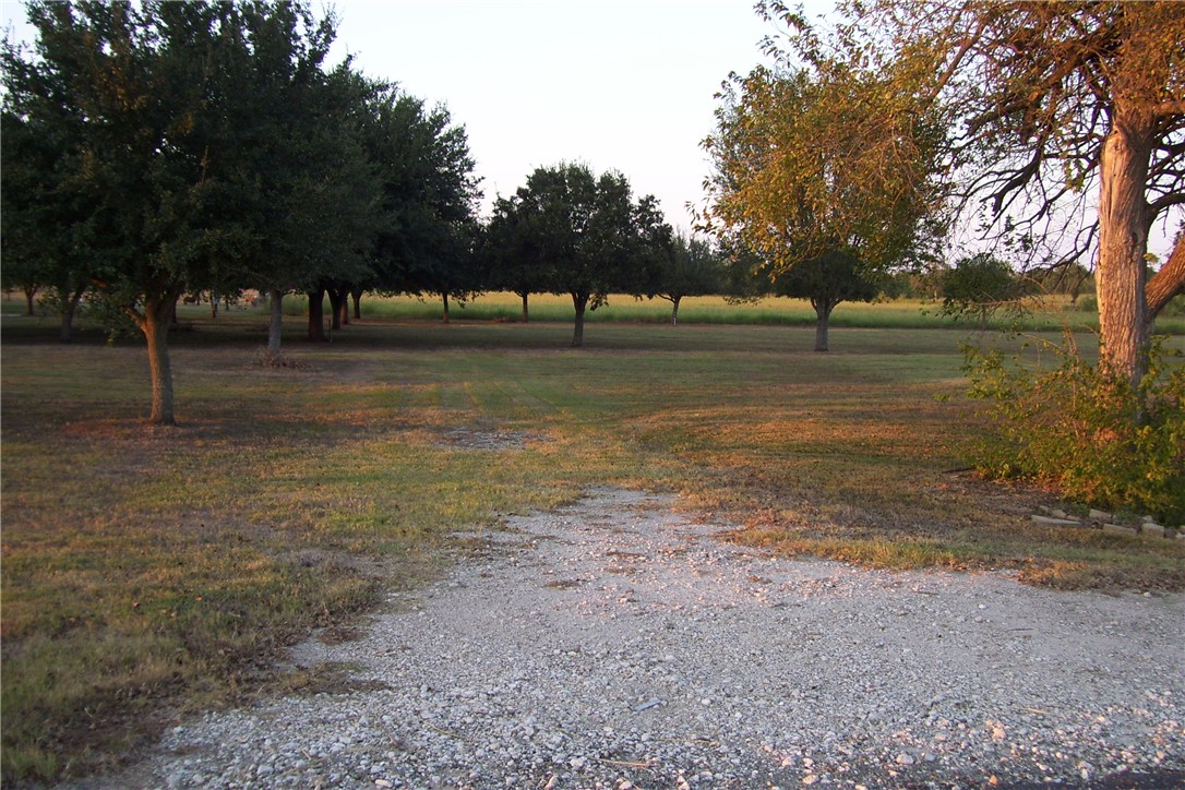 a view of outdoor space with trees