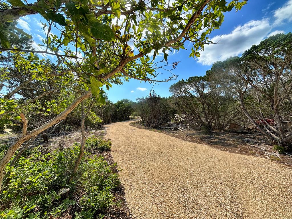 a view of a road with a tree in the background