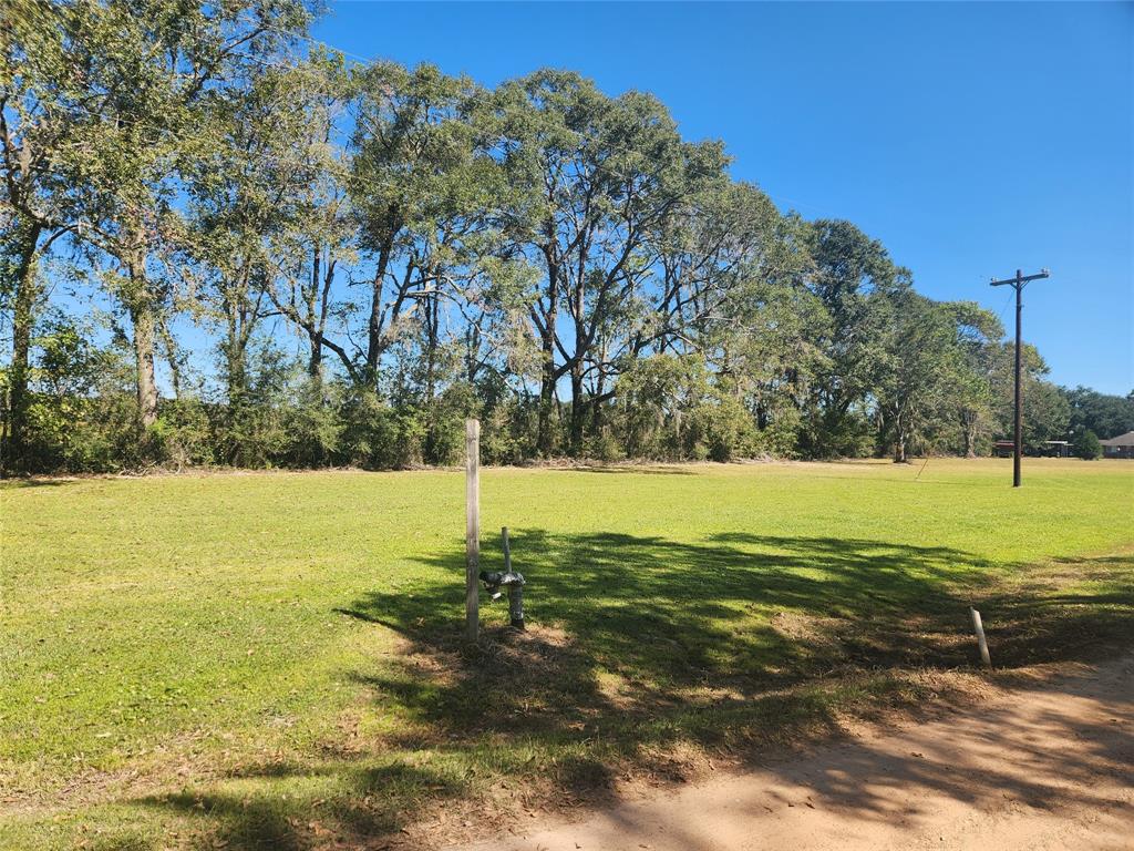 a view of yard with large trees