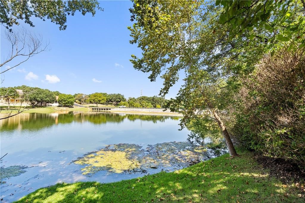 View from back yard by creek/pond