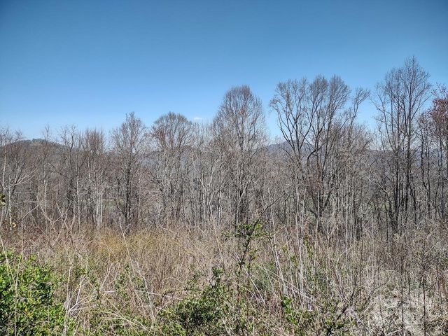 $40,000 | 0 Morning Mist Lane, Unit LOT 13 | Iron Duff Township - Haywood County