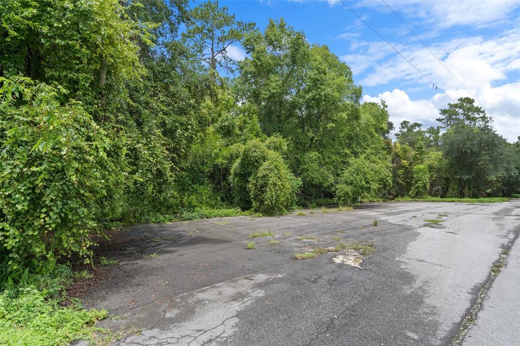 a view of a dirt road with trees