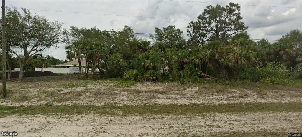 a view of a yard with a tree