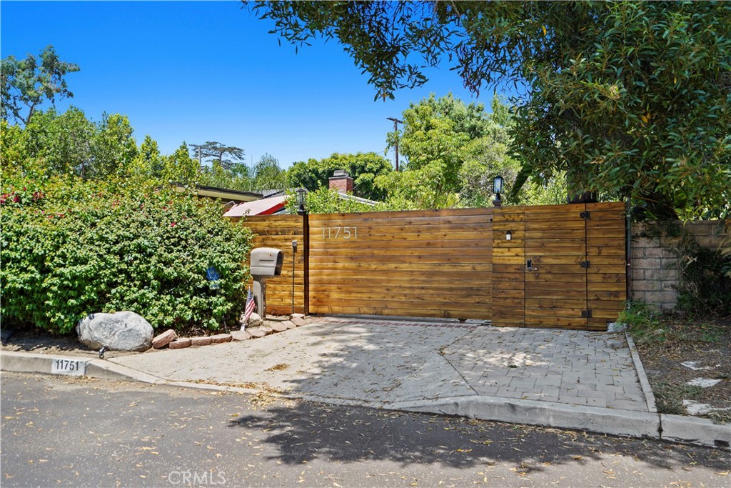 a view of a tree with a yard