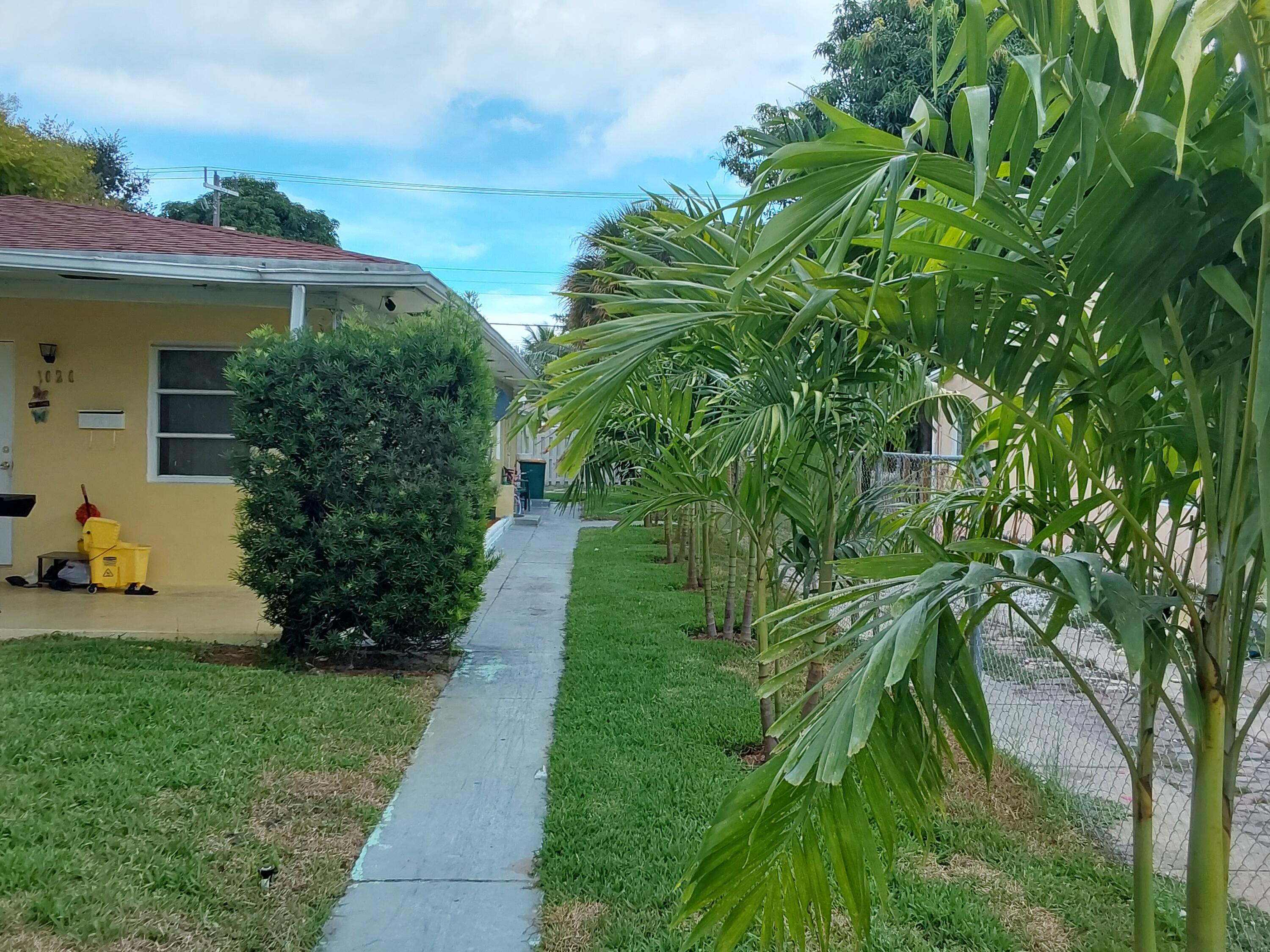 a view of a garden with plants and a large tree