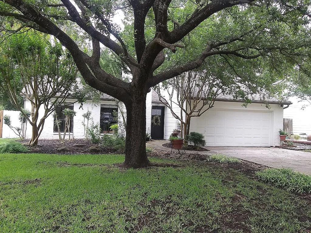 a view of a yard with a tree