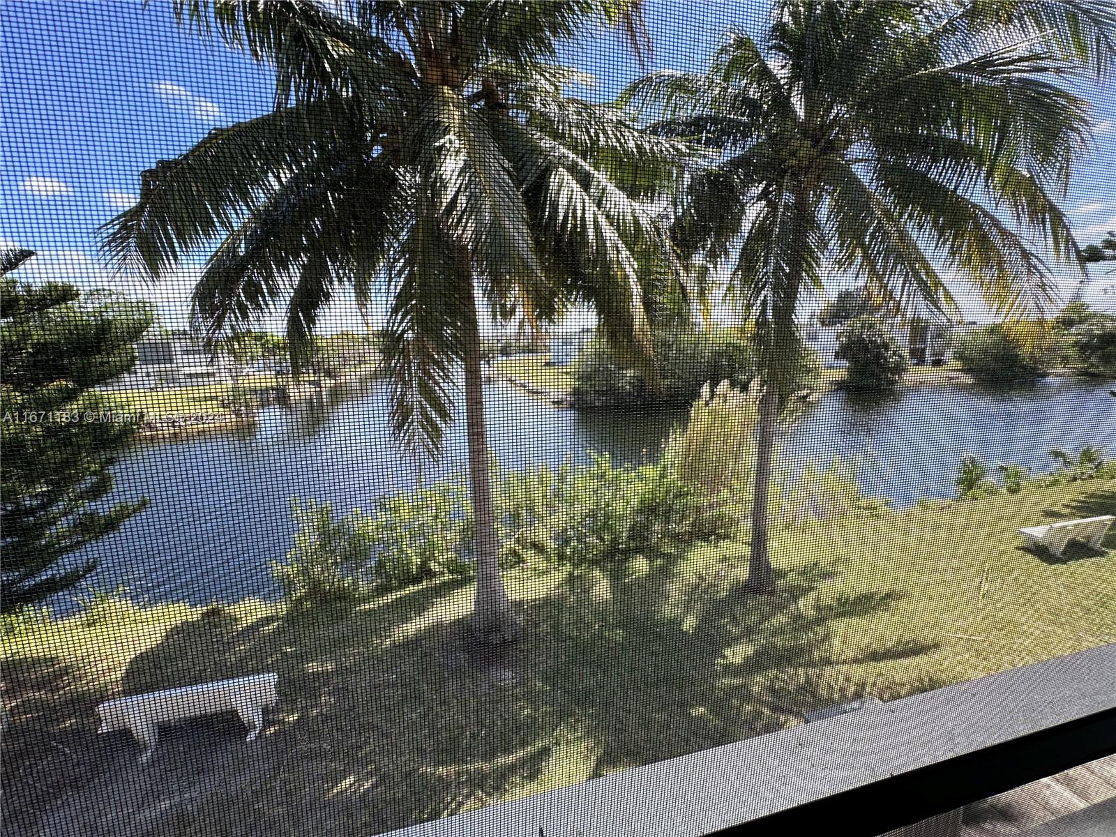 a view of a yard with palm trees