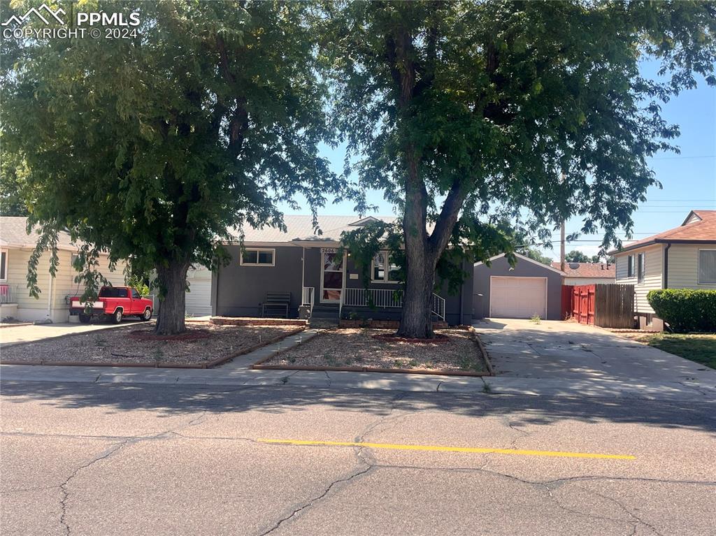 a tree in front of a house