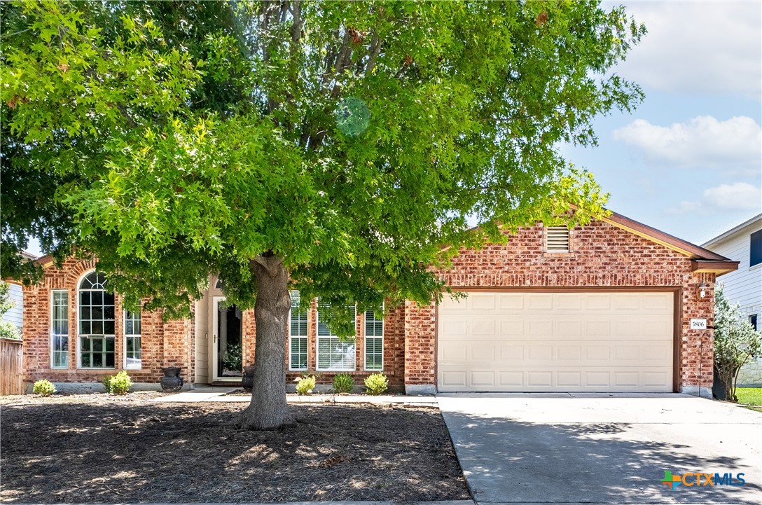 a front view of a house with a yard and tree s