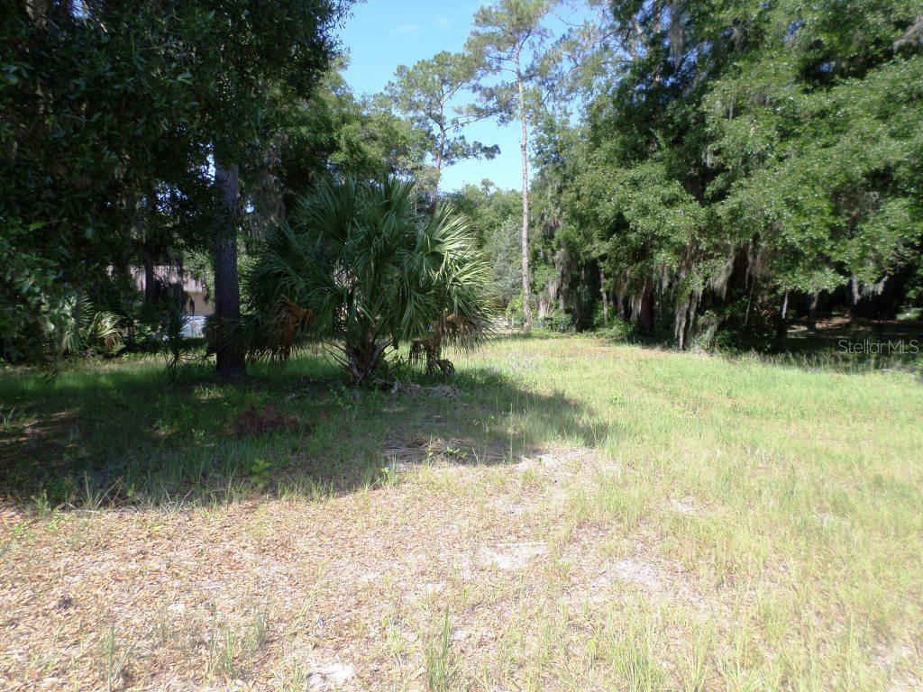 a view of backyard with green space