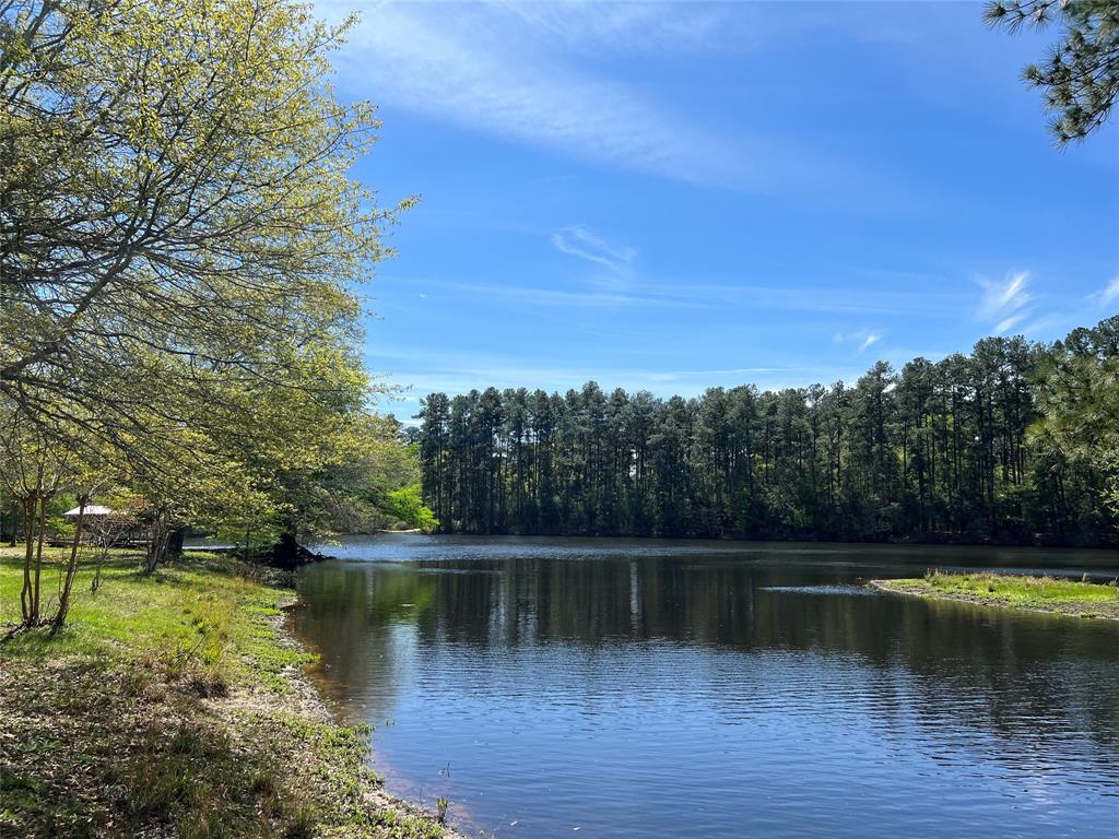 a view of lake with green space