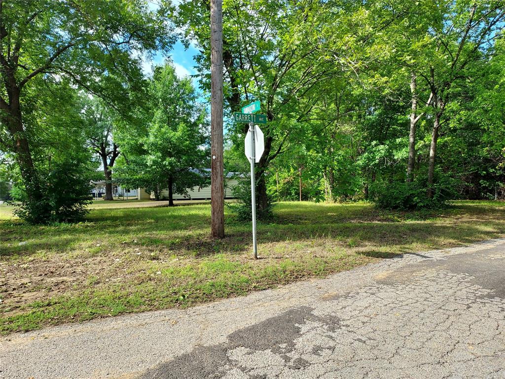 a view of a park with large trees