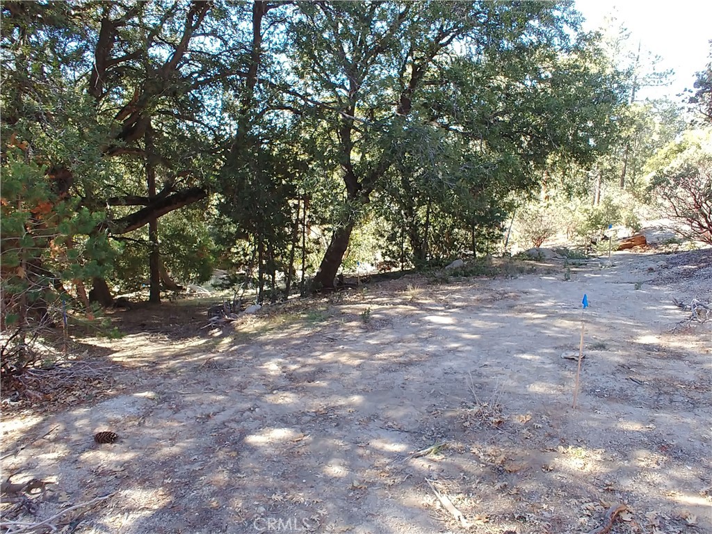 a view of outdoor space with trees