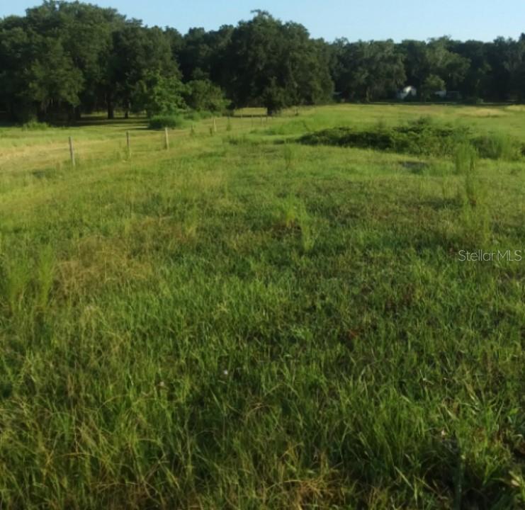 a view of outdoor space with green field and trees