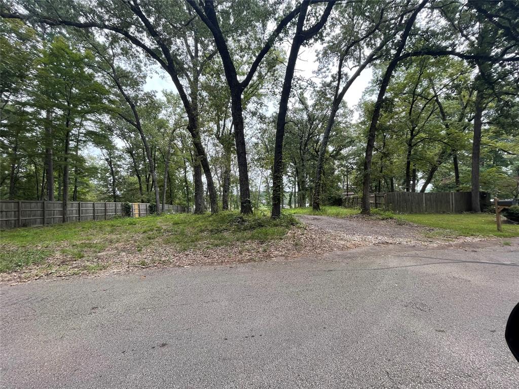 a view of a yard with a trees