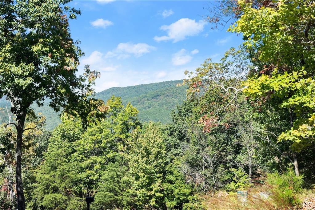 a view of a bunch of trees